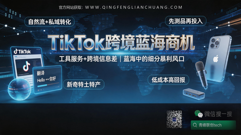 二手苹果11做TikTok跨境，不压货不囤货，靠“土特产信息差”月入3万的冷门路径-青峰联创 · AI与项目变现实操工坊