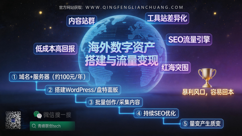 100元起步的出海SEO网站，为什么你99%会失败？揭露“内容站群”的真实门槛-青峰联创 · AI与项目变现实操工坊